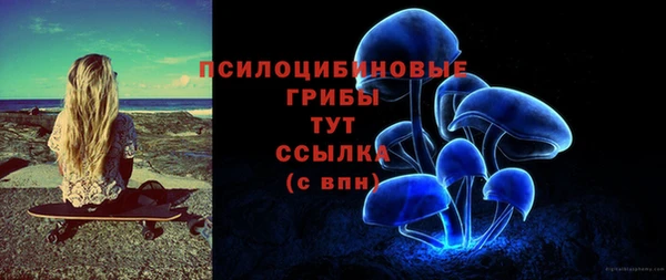герыч Алзамай