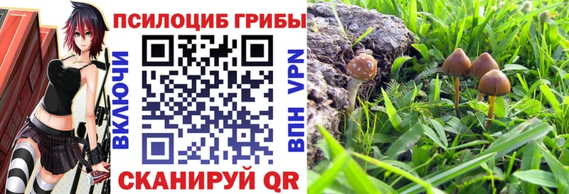 Псилоцибиновые грибы мухоморы  закладки  ОМГ ОМГ ССЫЛКА  Жуков 